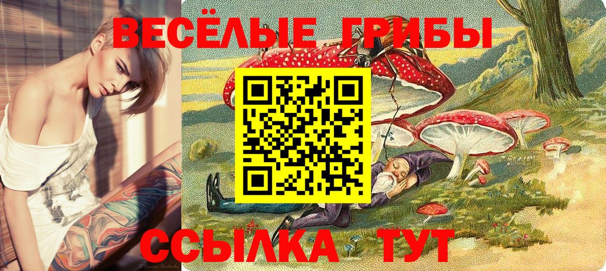 продажа наркотиков  Псилоцибиновые грибы прущие грибы  Вход с VPN  Узловая 